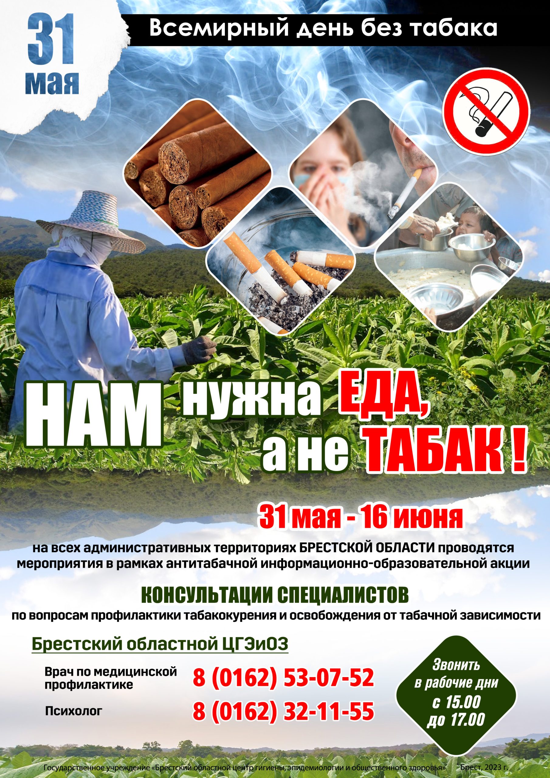 Подробнее о статье Всемирный день без табака