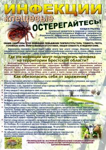Клещи и клещевые инфекции
