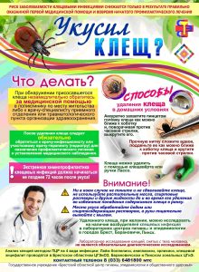 Профилактика клещевых инфекций