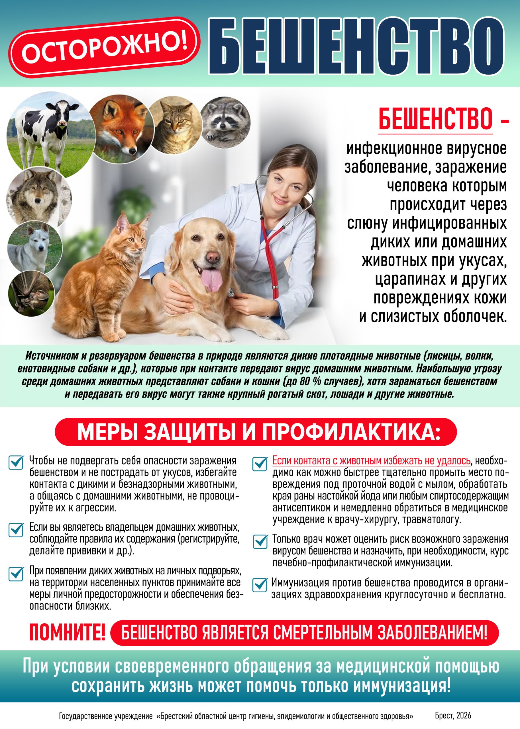 Подробнее о статье Осторожно Бешенство 2026