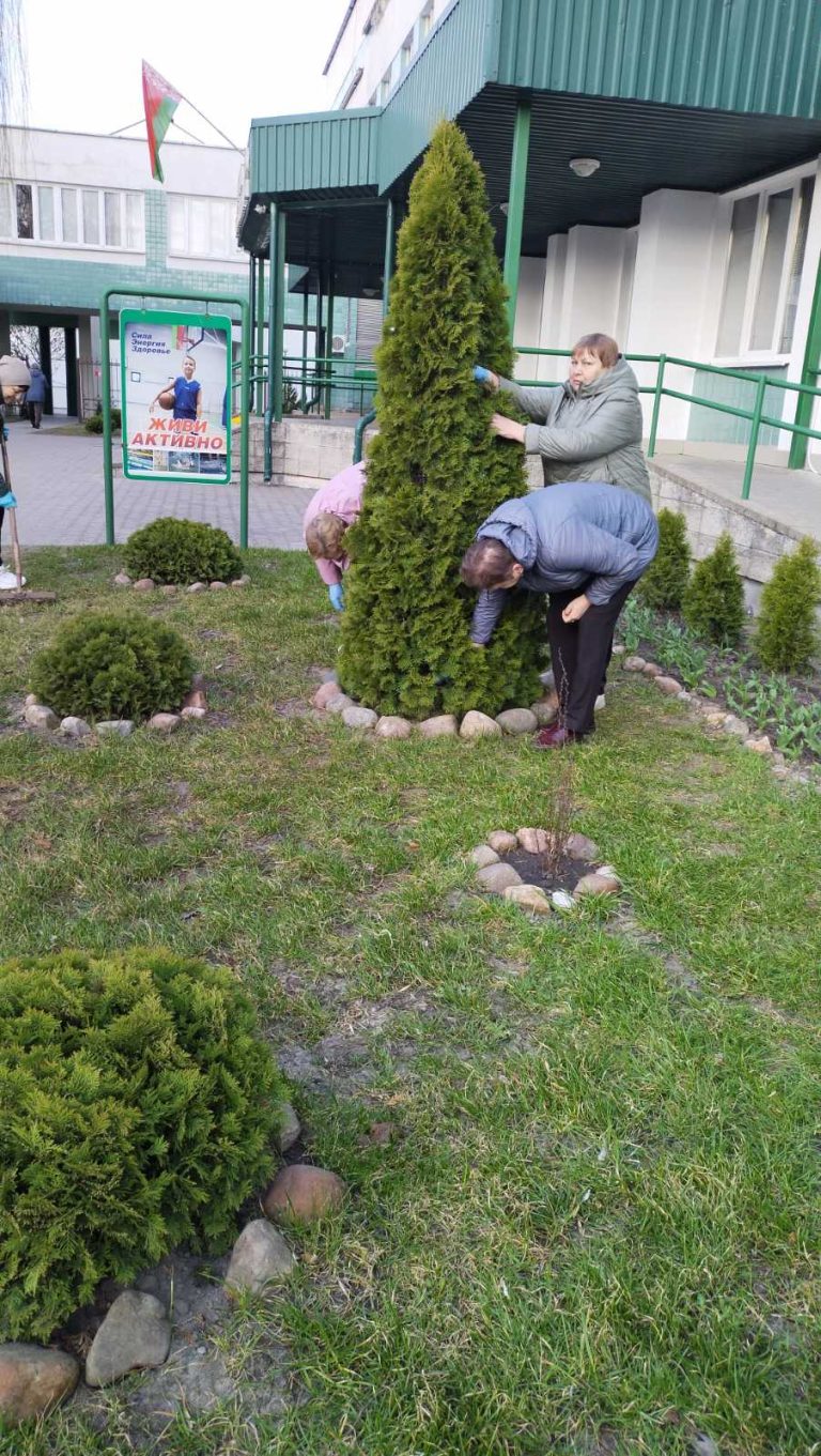 изображение_viber_2026-03-19_09-24-34-364